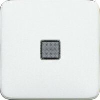 Vaddio 776211 - White - Thermoplastic - Glossy - Screwless - Bticino - IP31 - IK04