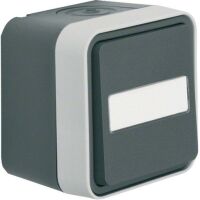 Berker Taster Wechsler lichtgrau 50763555