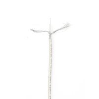 Nedis Antennenkabel auf Rolle / MINI KOAX / Doppelt geschirmt / ECA / 20.0 m / Koax / PVC / Weiss / Eingewickelt