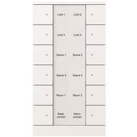 Busch-Jaeger BEDIENELEMENT 12-FACH (SB/U12.0.11-84)