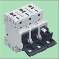 Wöhner AMBUS POWERSWITCH 3P+N 63A (31315)