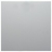Berker NEP TASTE 1F. PWS MATT (85141188 B.X)