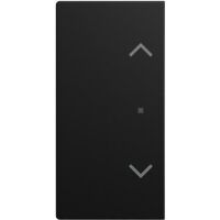 Busch-Jaeger WIPPE 2-FACH, JALOUSIE SW-MATT (6232-20-915)