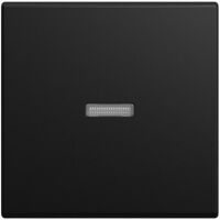 Busch-Jaeger WIPPE KONTROLLF. SW-MATT (1789 N-915)