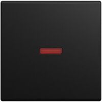 Busch-Jaeger WIPPE KONTR ROT SW-MATT (1789-915)