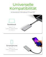 ICY BOX IB-1817Ma-C31 USB-C 3.1 (Gen 2) NVMe Gehäuse Externe Gehäuse