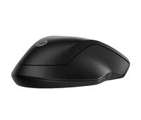 HP Inc. HP 255 Dual Wireless Mouse (8R3U1UT#ABB)