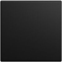 Busch-Jaeger WIPPE SW-MATT (2506-915)