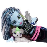 Mattel Monster High Frankie Puppe
