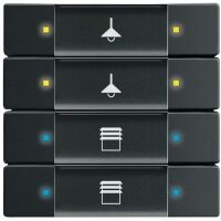 BUSCH JAEGER 6127/02-885 - Black - Matte - Screwless - Busch-Jaeger - 6120-0-0071 6120-0-0074 6310-0-0059 6310-0-0060 6900-0-1703 - CE