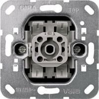 GIRA 010700 - Metallic - 250 V - 10 A