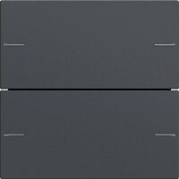 GIRA Wippenset 575228 2f Tastsens.4 System 55 anthra