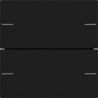 Gira WIPPENSET 2F TASTSENS.4  SW M (5752005 SYSTEM 55)