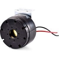 Auer Signal PIEZO SUMMER PULSIEREND SW (BU1 24V DC)