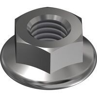 Multipack SL Rack SECHSKANTMUTTER M10 M. FLANSCH (77210-00) - 100 Stück