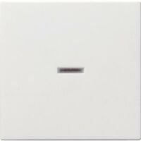 Gira UNIV.-KONTROLLWIPPE (029027 RWS   SYST.55)