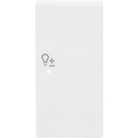 Busch-Jaeger WIPPE/R 2-FACH, DIMMER (6234-22-84)