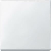 MERTEN 434119 - Buttons - White - Duroplast - 1 pc(s)