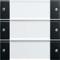 GIRA Wippenset 3f BSF System 55 Klar schwarz m