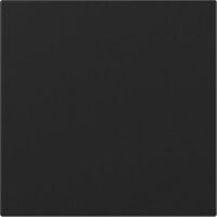 Gira WIPPE GERADE  SW M (3496005 SYSTEM 55)