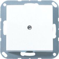 Jung LEITUNGSAUSLASS M.ZUGENTL. (A590AWW)