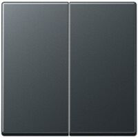 JUNG A 595 BF ANM - Black