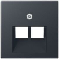 Jung ABD. F.IAE/UAE-ANSCHLUSSDOSE (A569-2BFPLUAANM)