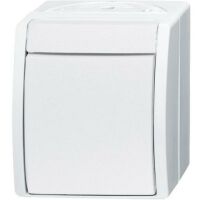 BUSCH JAEGER 2601/6 W-54 - 1P - White - 250 V - 10 A - 74 mm - 55 mm