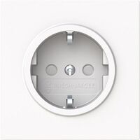 Busch-Jaeger AL SCHUKO-STD EBS (20 EUCB-44M)