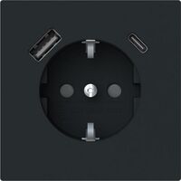 Busch-Jaeger AL SCH/2XUSB-STD A+C (20 EUCB2USBAC-45M)