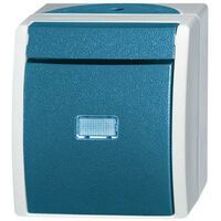 Busch-Jaeger WECHSELSCHALTER M.BELEUCHTUNG (2601/6 WGL-53)