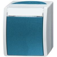 BUSCH JAEGER 2601/6 WN-53 - 1P - Green - Gray - 250 V - 10 A - 74 mm - 55 mm