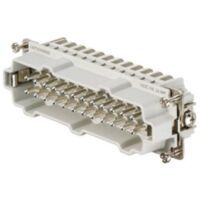 Weidmüller STIFTEINSATZ HDC HE 24 MP (1873590000  PUSH IN)