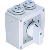 Kraus & Naimer UMSCHALTER H-O-A   1POL. (CA10.A210.PNL1.F085)