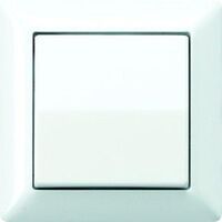 Jung ABDECKUNG + WIPPE F.WWS (AS 590 WW)