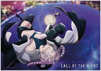 Crunchyroll GmbH Puzzle - Call of the Night - 1000 Teile