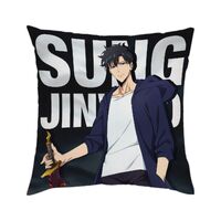 Crunchyroll GmbH Kissen - Solo Leveling - Motiv 1