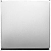 BUSCH JAEGER 1751-0-2956 - Buttons - Stainless steel - 63 mm - 63 mm - 1 pc(s)