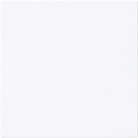 Busch-Jaeger AL WIPPE (1786-44G)