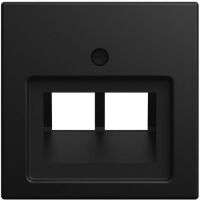 Busch-Jaeger ZENT.SCH.UAE 2-F SW-MATT (1803-02-915)