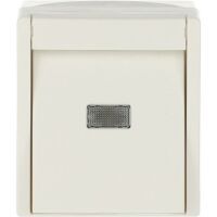 Busch-Jaeger AP TA.WECHSLER (2621 W-54-206)