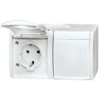 Busch-Jaeger FR AP STD 2F WR (20/2 EW-54)