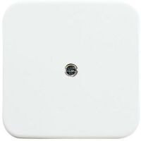 BUSCH JAEGER 1724-0-0921 - White - Busch-Jaeger - 54 mm - 54 mm - 1 pc(s)