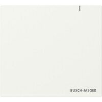 Busch-Jaeger SYSTEM ACCESS POINT 3.0 WIRELE (SAP.13-WL)