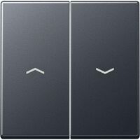 JUNG A 595 BF P ANM - Black