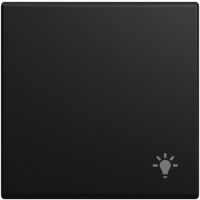 Busch-Jaeger WIPPE LICHT SW-MATT (2520 LI-915)