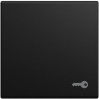 Busch-Jaeger WIPPE SCHLÜSSEL SW-MATT (2520 TR-915)