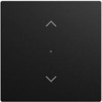 Busch-Jaeger WIPPE 1-FACH, JALOUSIE SW-MATT (6232-10-915)