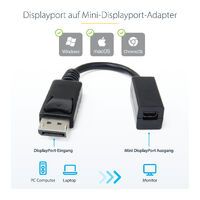 STARTECH.COM 6in DisplayPort to Mini DisplayPort Video Cable Adapter - M/F (DP2MDPMF6IN)