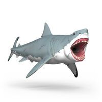 Schleich Megalodon
